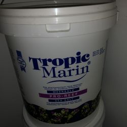 Reef Salt
