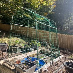 Garden Trellis