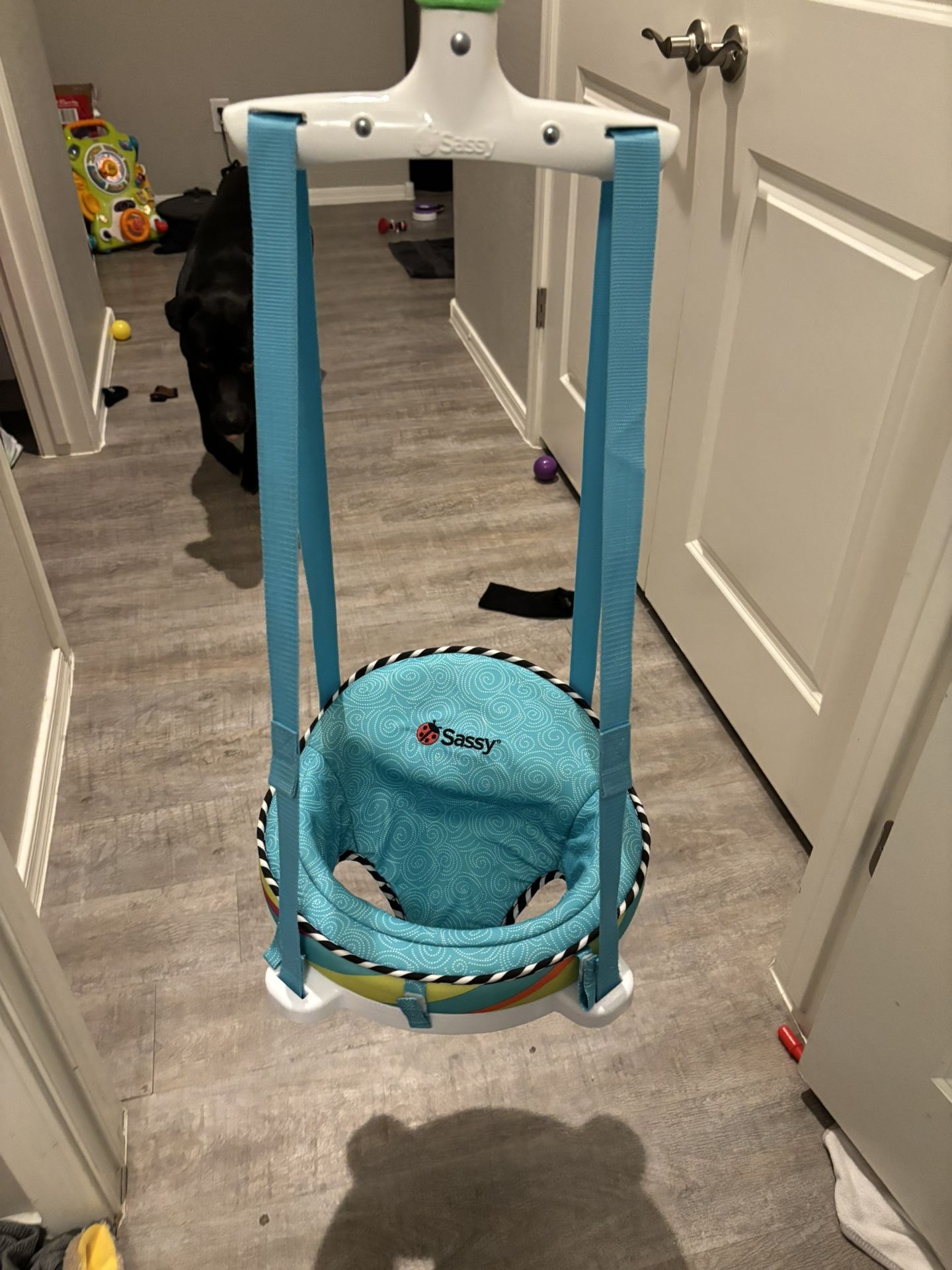 Doorway, baby jumper