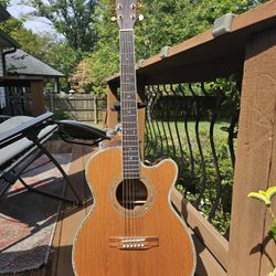 ZAGER Easy Play Acoustic Electric Guitar