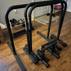 Workout Bars