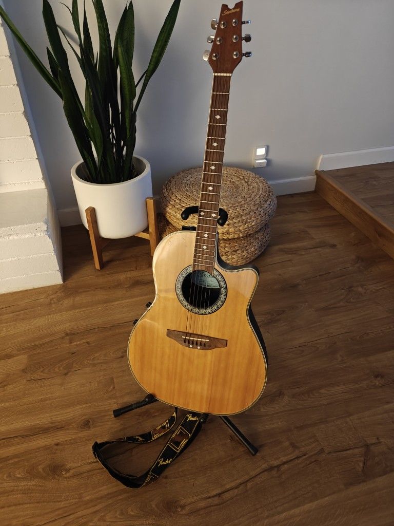 Acoustic Electric Guitar