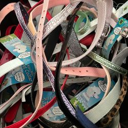 Dog Collars
