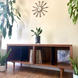 Stunning Modern Record Credenza