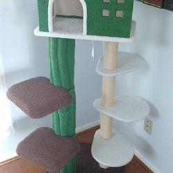 Cat HOUSE 🏠 