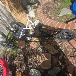 Trailmate Lowrider Tricycle Adult