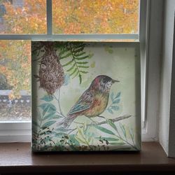Bird Canvas Art – 12”x12” (Very Good Condition)