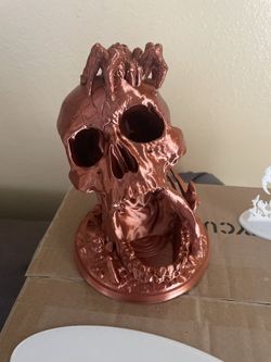3D Printed Skull 