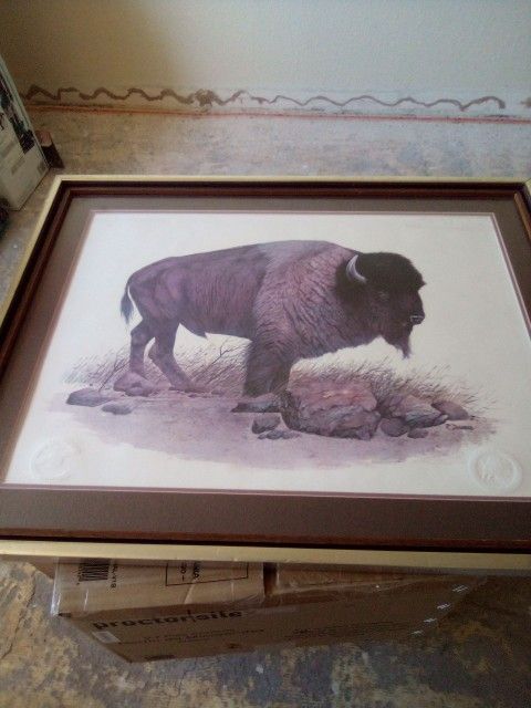 Buffalo Print With Frame And Has The Seal..made By R.Dorman $500 OBO