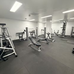 Commercial Gym Equipment 
