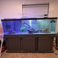 Fish Tank and Stand 140 Gallons 