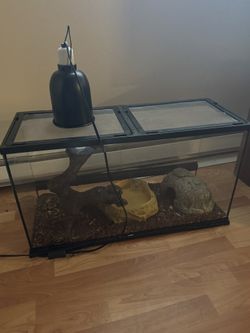 Ball Python Snake With Set Up