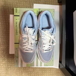 Nike Dunk Union Passport Size 10