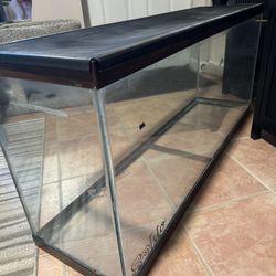 Free Aquarium Tank And Lid