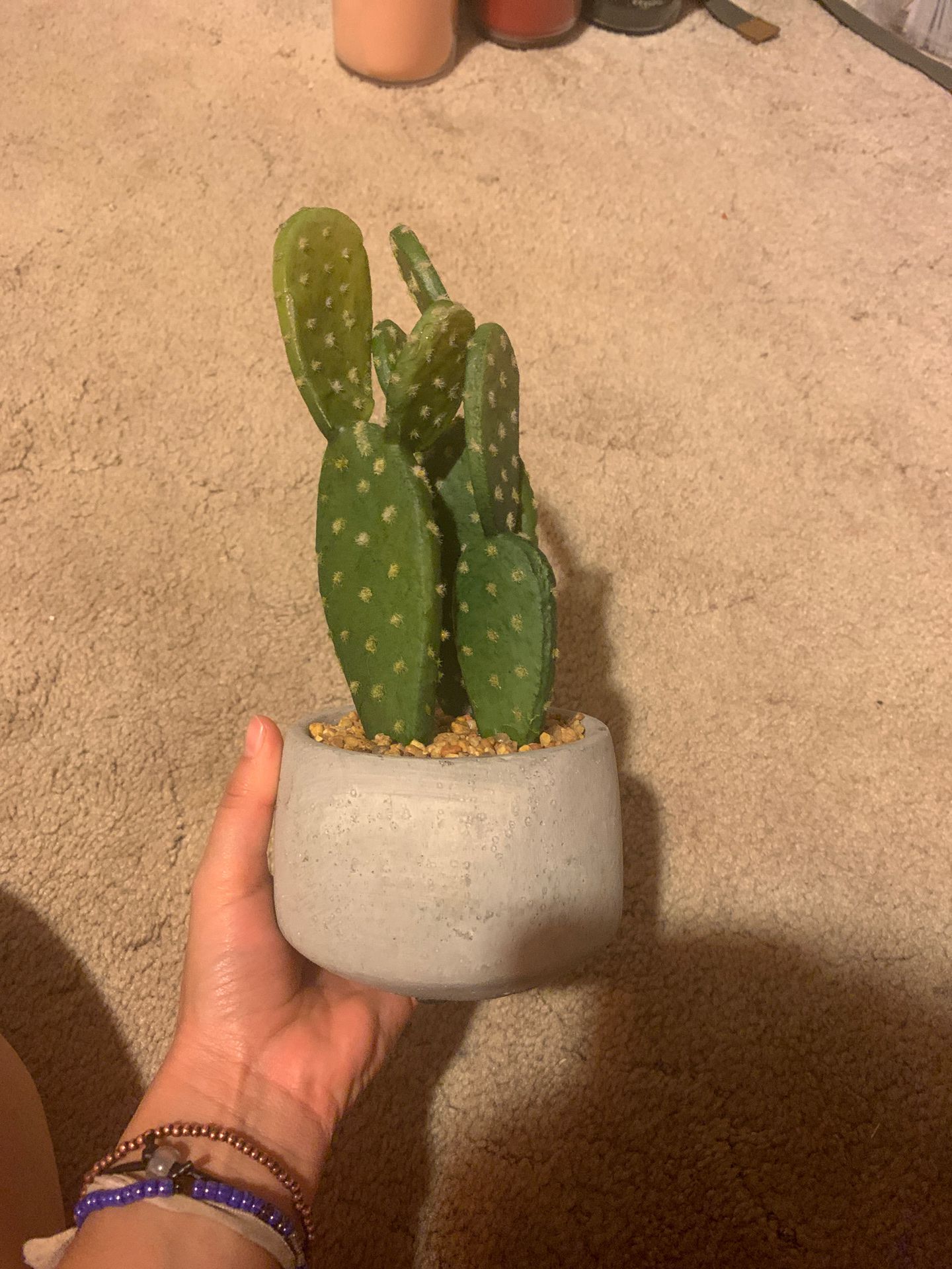Cactus decor ( fake not real )