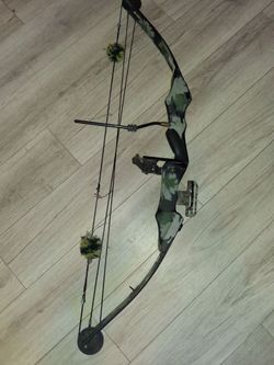 PSE Spirit bow