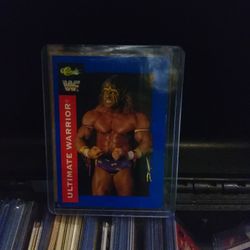 Wrestle Mania 3