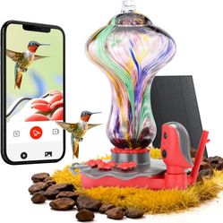 Bird Feeder With Camera 