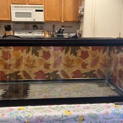 20 Gallon Tank With Top And Under Tank Heater