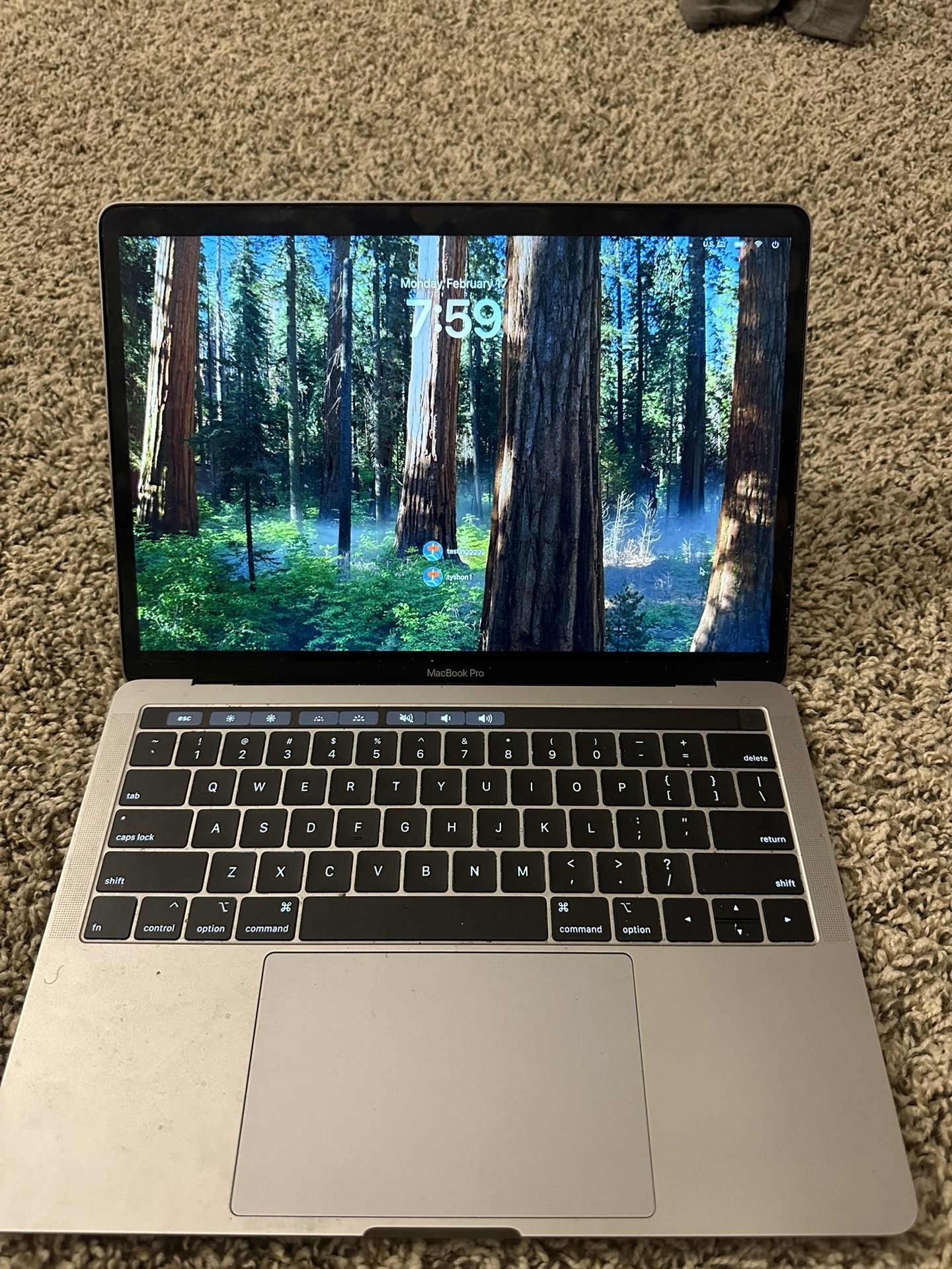 Apple Macbook Pro 13 in 2019 (132 GB, 8 GB 2133 Mhz)