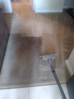 Carpet Cleaner
