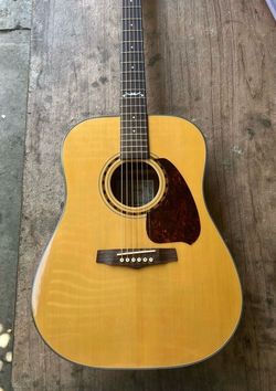Guitar