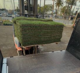 Sod $2 per sq/ ft