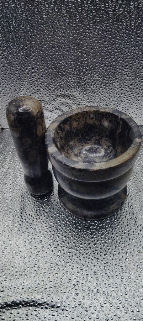 Mortar And Pestle Orthoceras