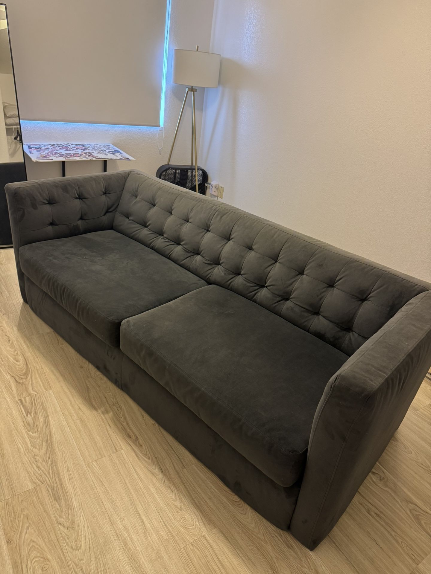 West Elm Sleeper Sofa