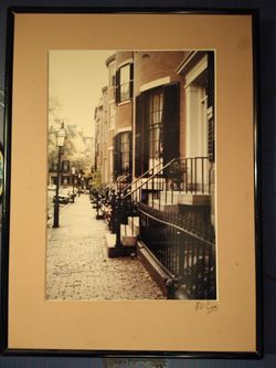 Professional level photography pictures by a new & upcoming, hard working photographer & developer