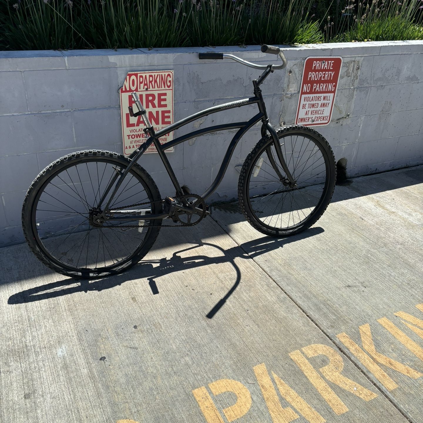 Madwagon beach cruiser new arrivals