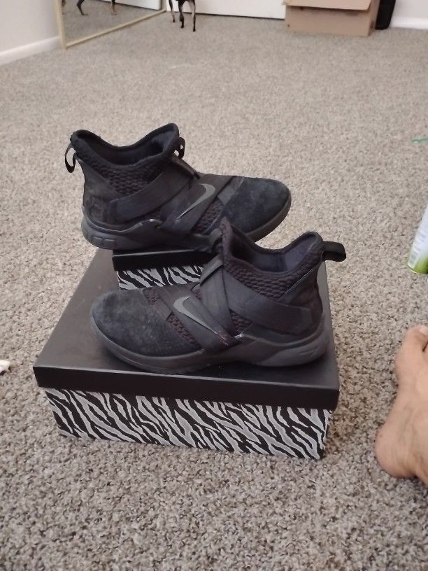 LeBron James Black Suede High Top Size 9.5