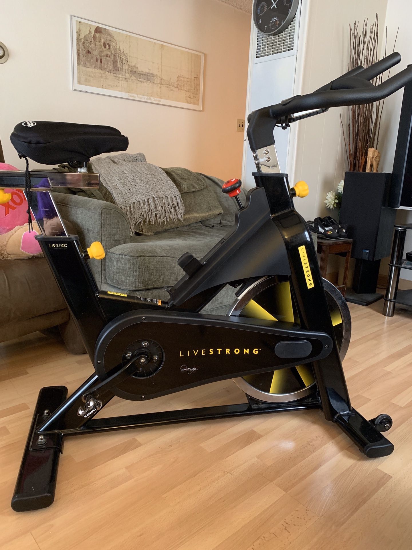livestrong e series spin bike