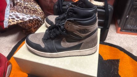 Retro 1 og palomino