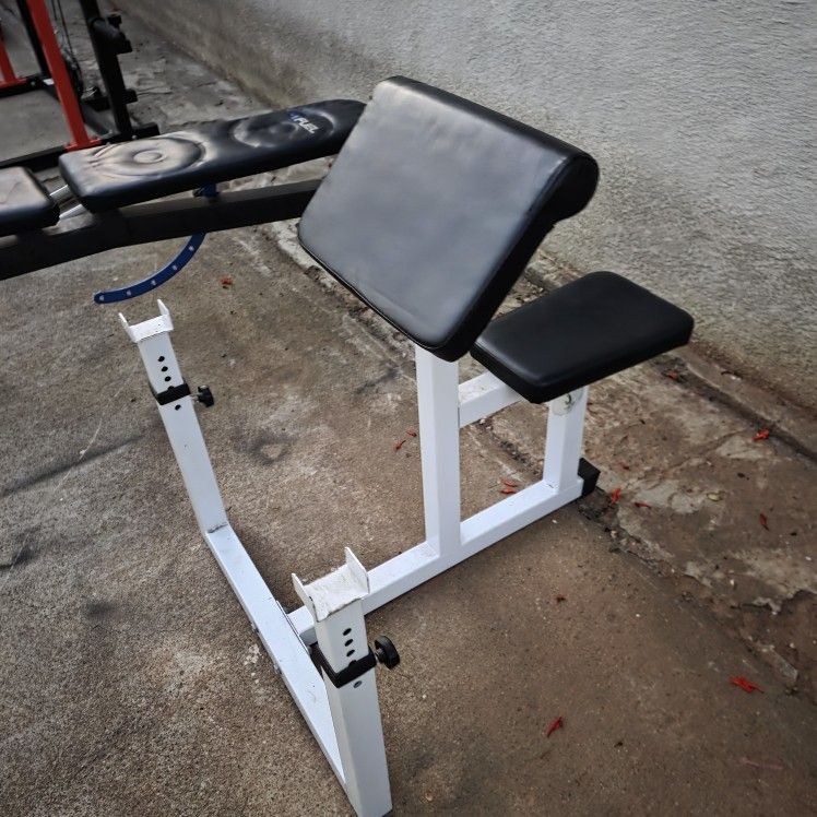 Preacher Curl Chair