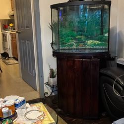 36 Gallon Fish Tank With Water Filter Include Stand