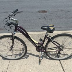 Schwinn Trailway, Womens 28" Hybrid, Model S5985TGD, Aluminum Frame 21 Speed Bike $210 Or Best Offer