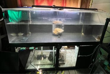 180g acrylic fish tank.