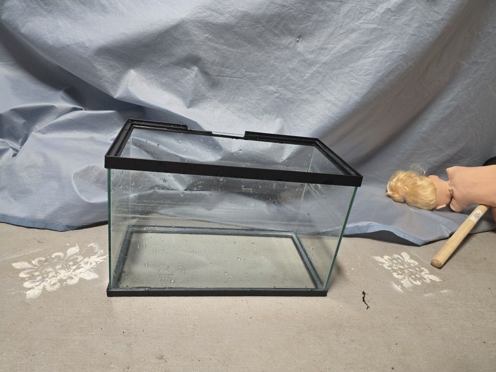 Fish Tank