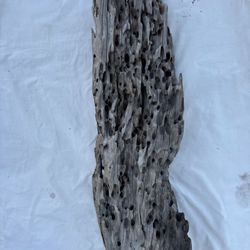 Driftwood  24" X 8" 