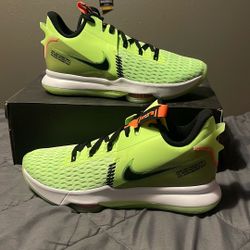 Nike LeBron Witness V Size 12