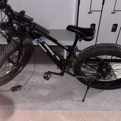 Geemax E-bike 