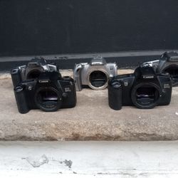 Canon Film Camera Body Lot