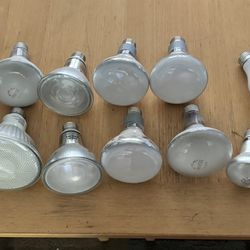 Light Bulbs