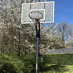 Basketball Hoop