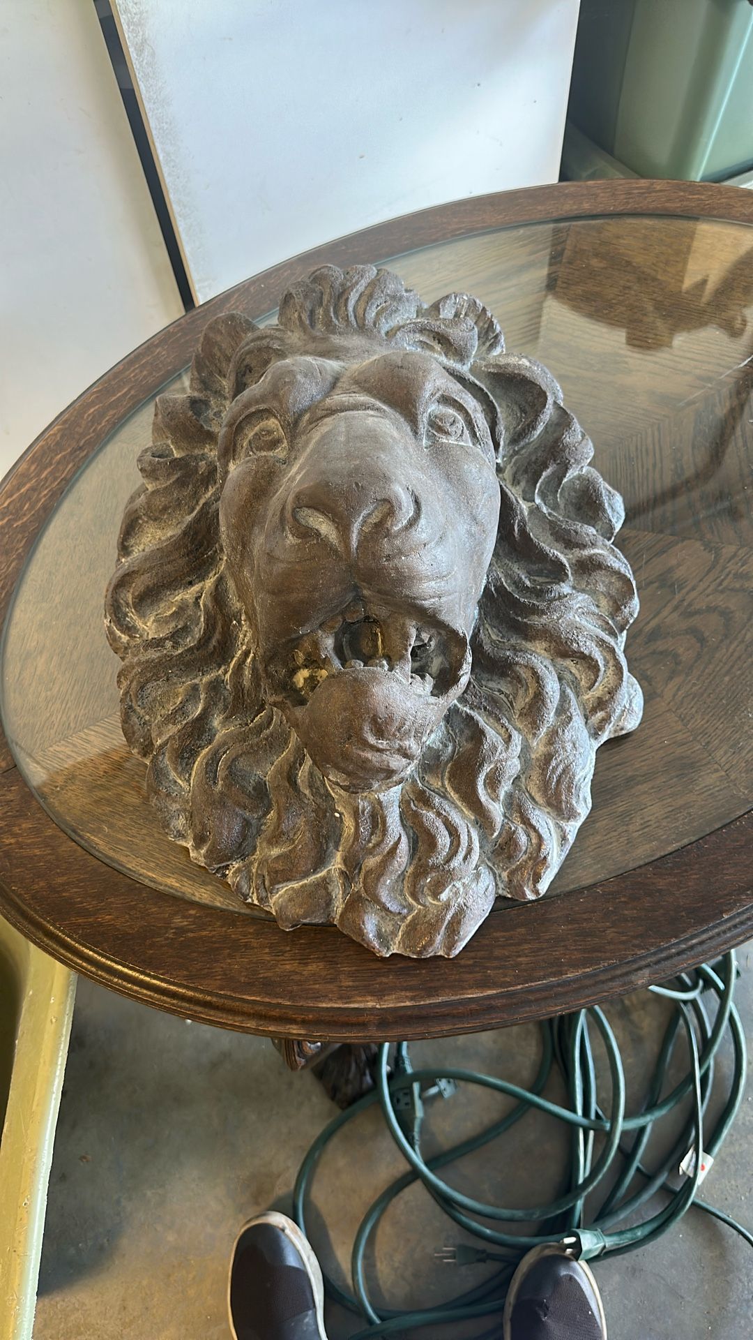 Lion Face