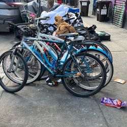 Mongoose  Rockdale Sx Pro Mountain Bike