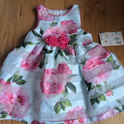 New with tag - 18 month Girl Easter Dress