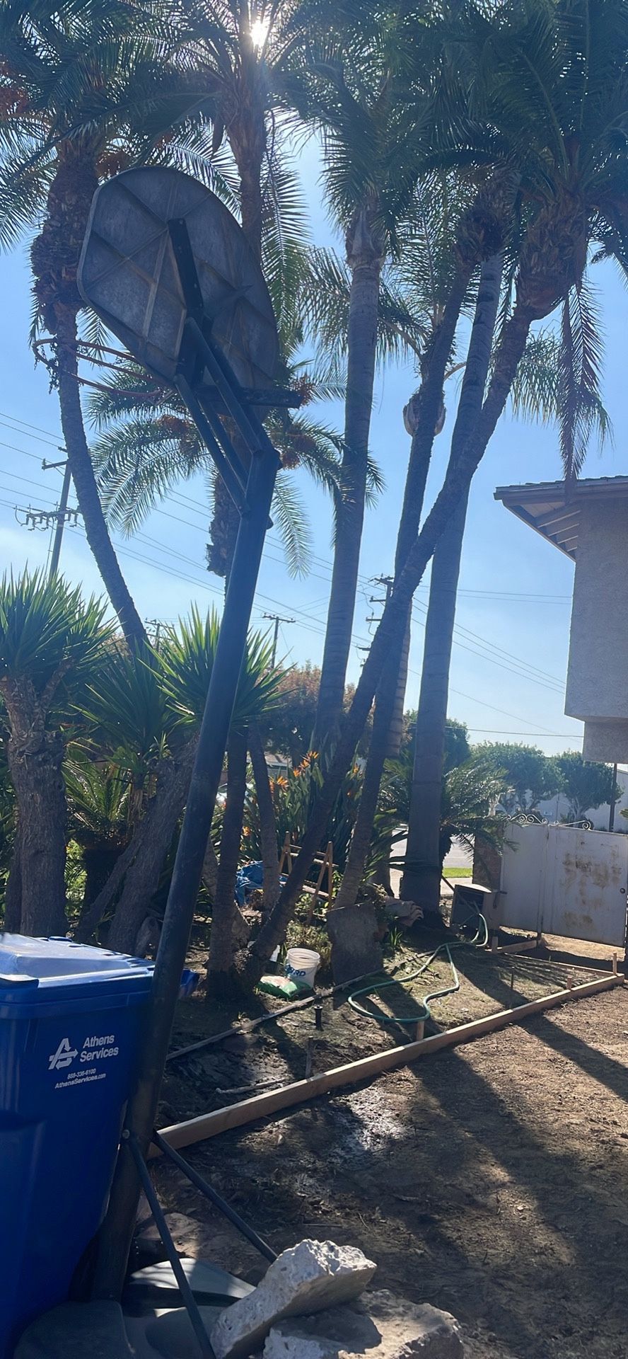 Free Standup Basketball Hoop