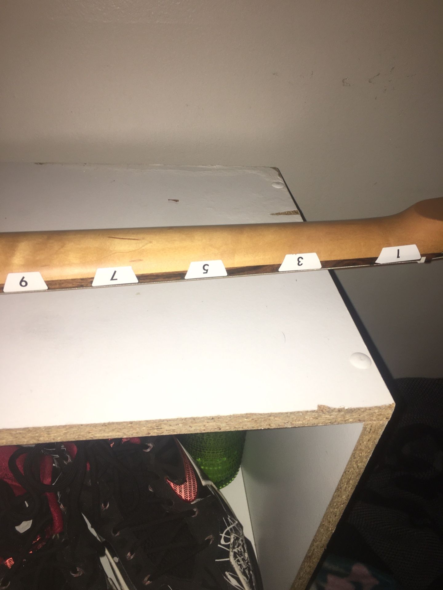 Electric Guitar
